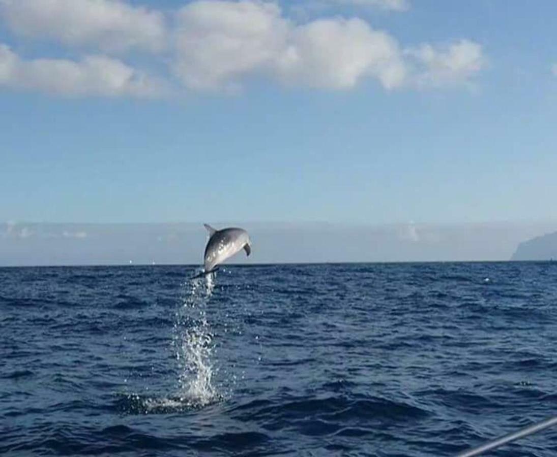 فندق Blue Ocean Camp - Tasartico المظهر الخارجي الصورة